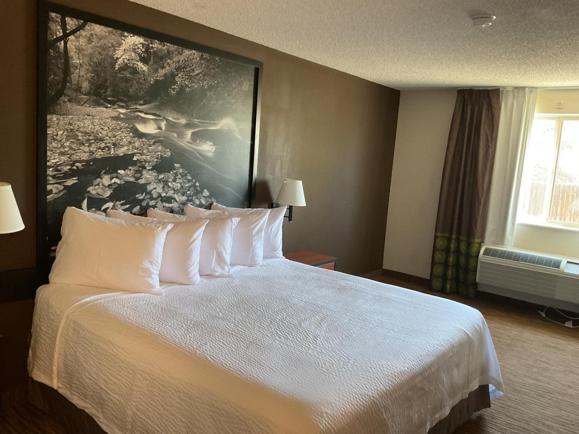 Super 8 By Wyndham Colorado Springs Airport Motel Exterior photo